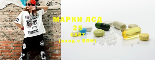 PSILOCYBIN Магас