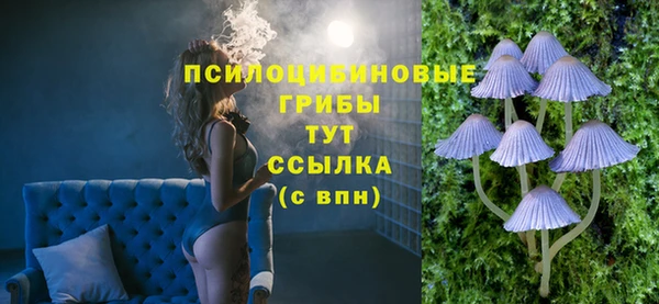 дмт Козловка