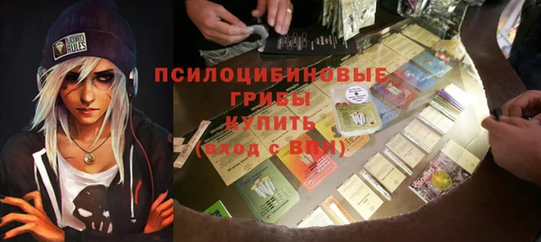 хмурый Краснослободск